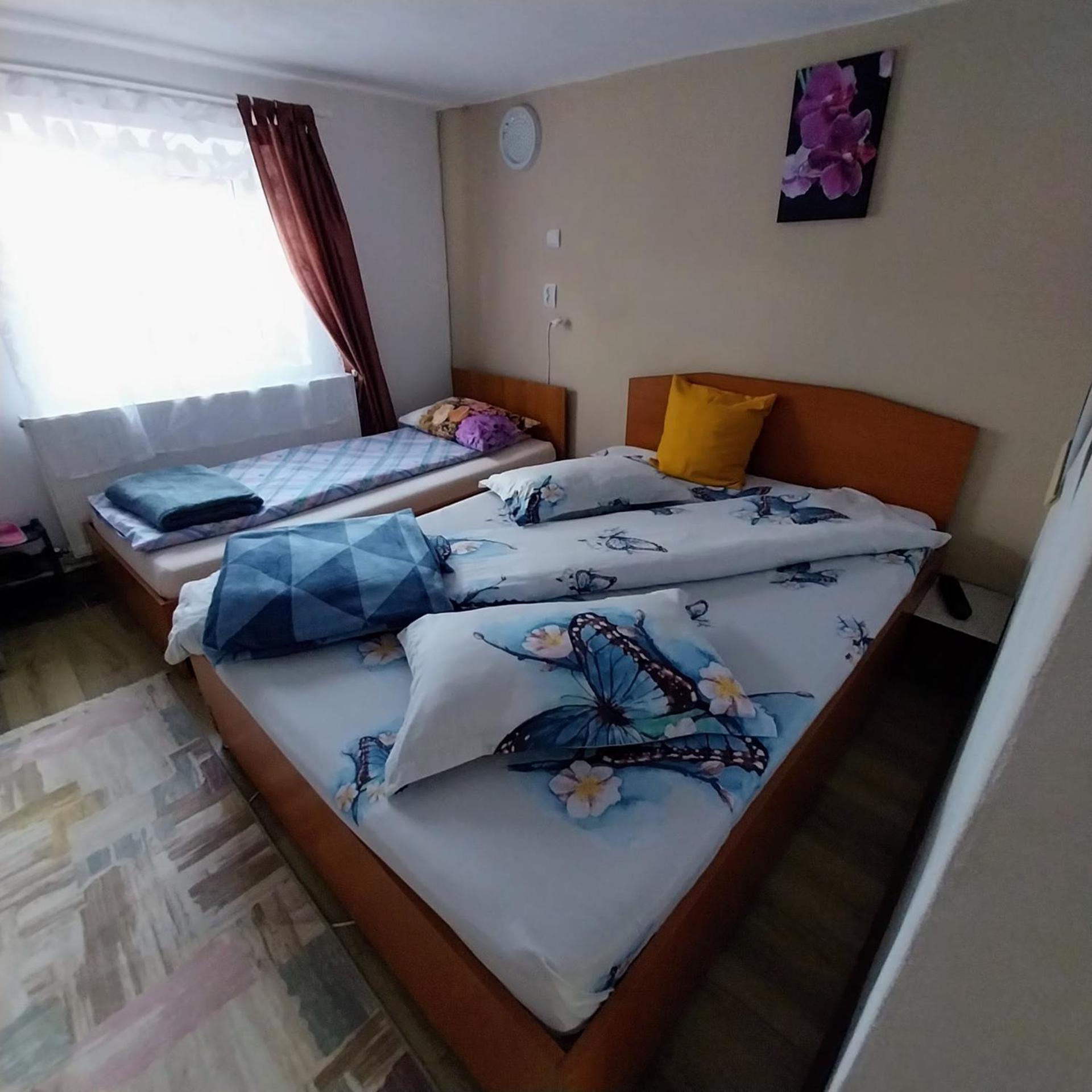 Hotel Casa Andreea Novaci-Străini Exterior foto